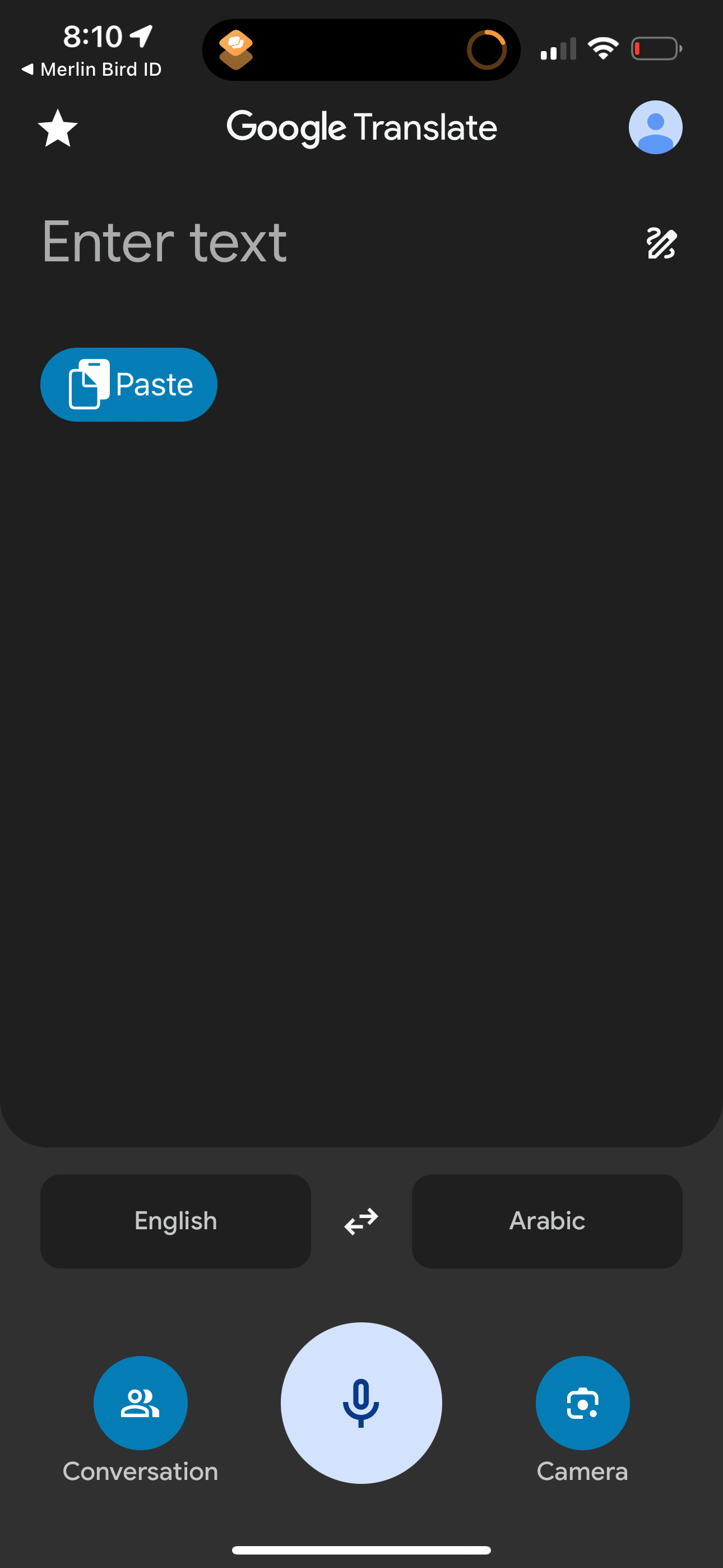 google-translate app screenshot 32