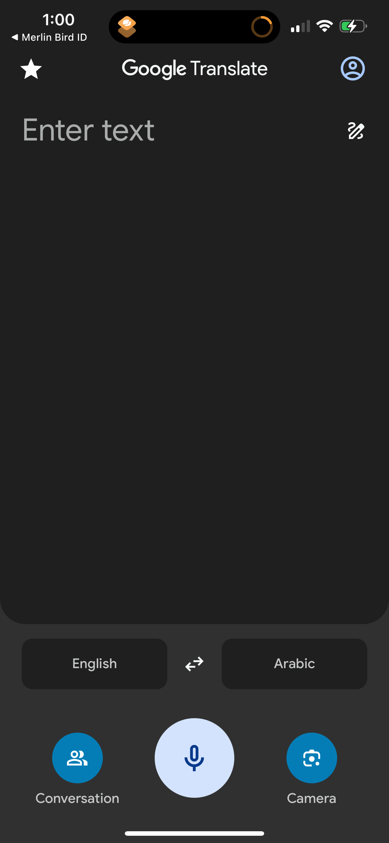 google-translate app screenshot 31