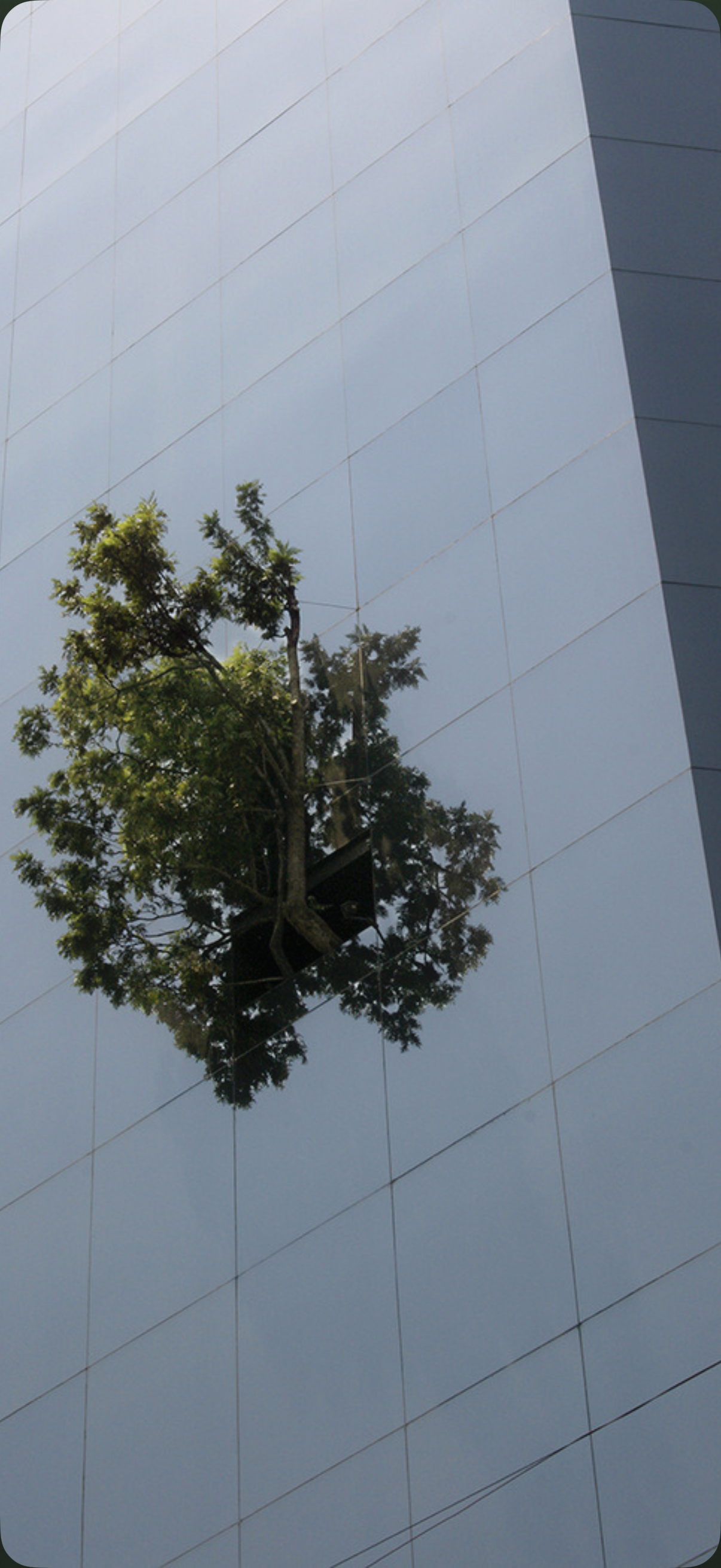 222 app screenshot 179