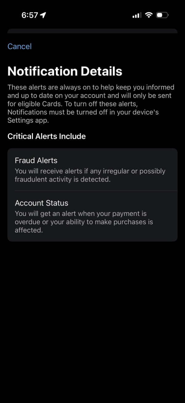 amex app screenshot 54