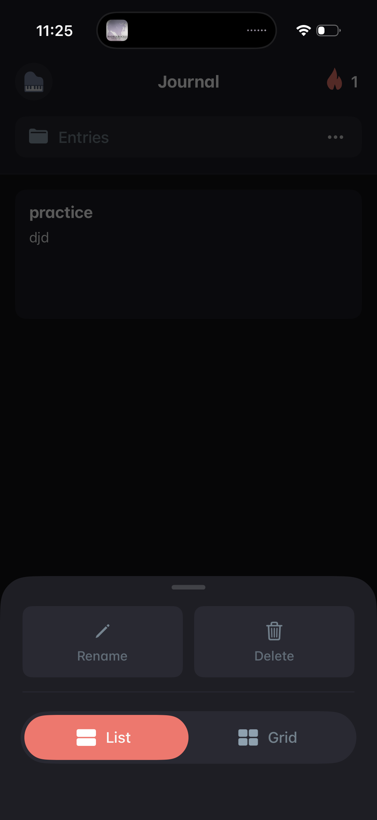 andante switch journal view