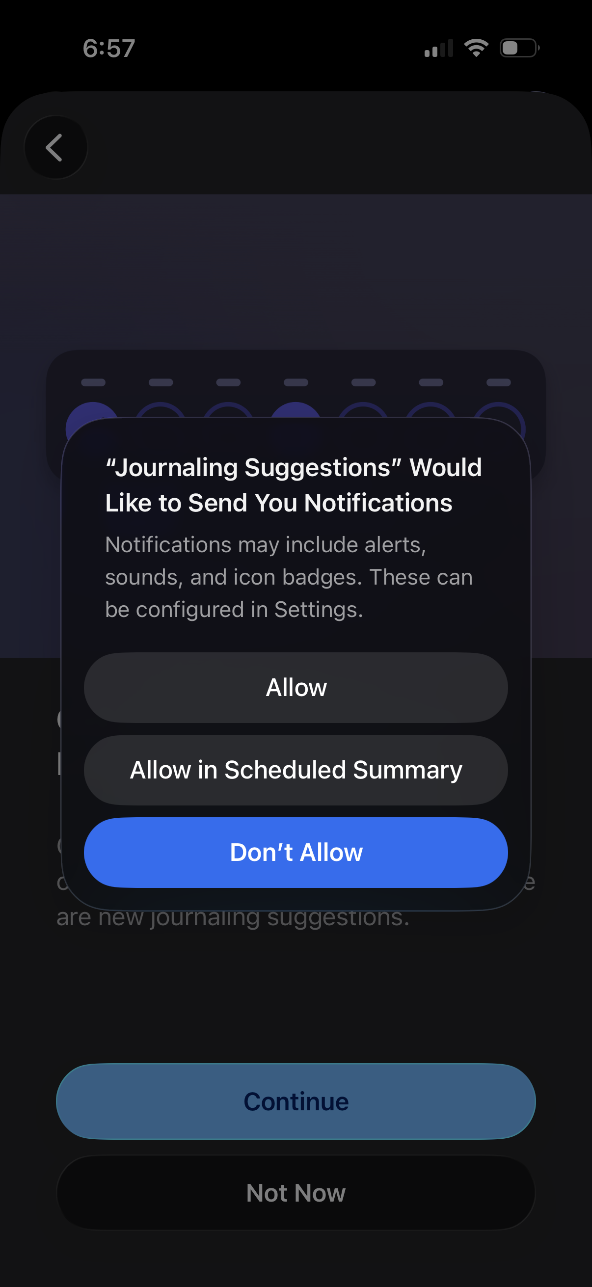apple-journal app screenshot 20