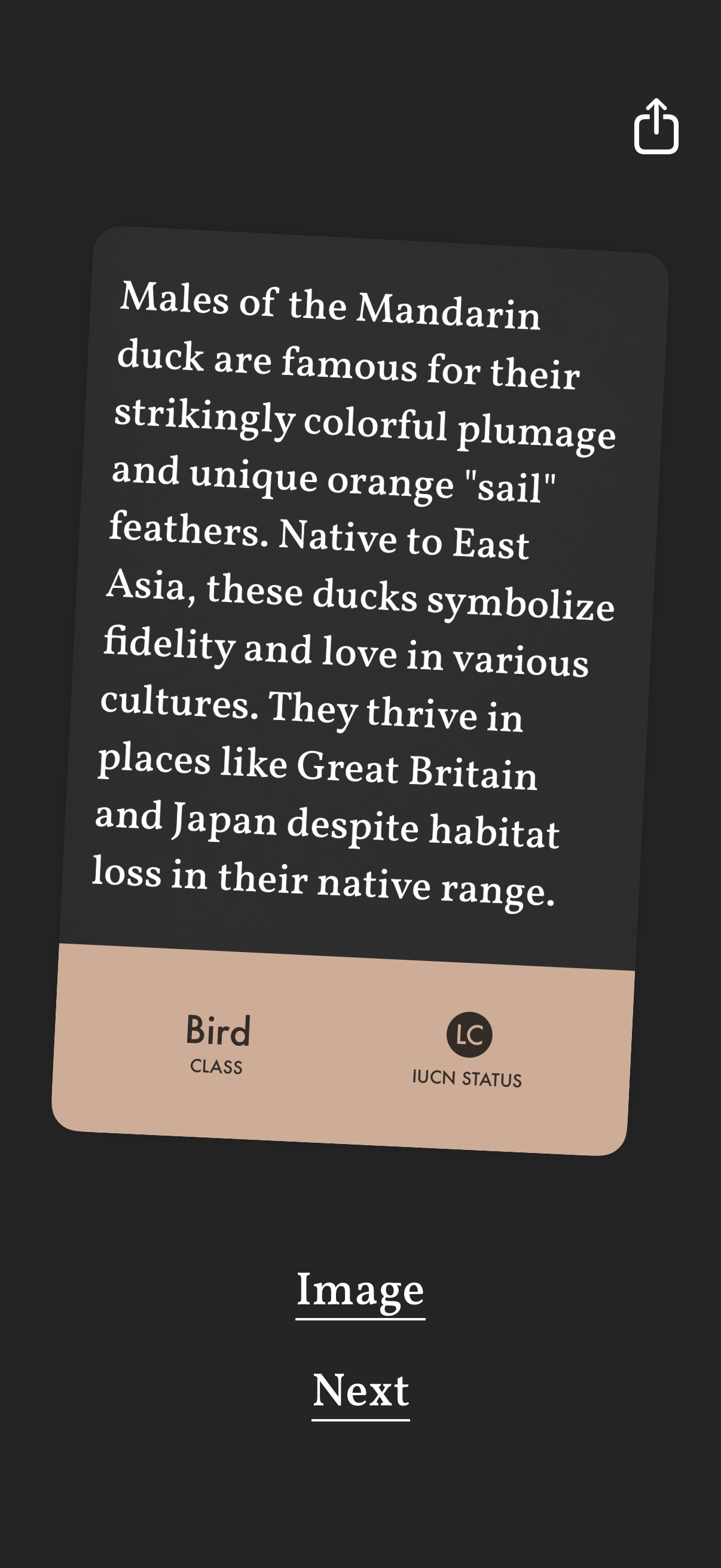 art-of-fauna app screenshot 24