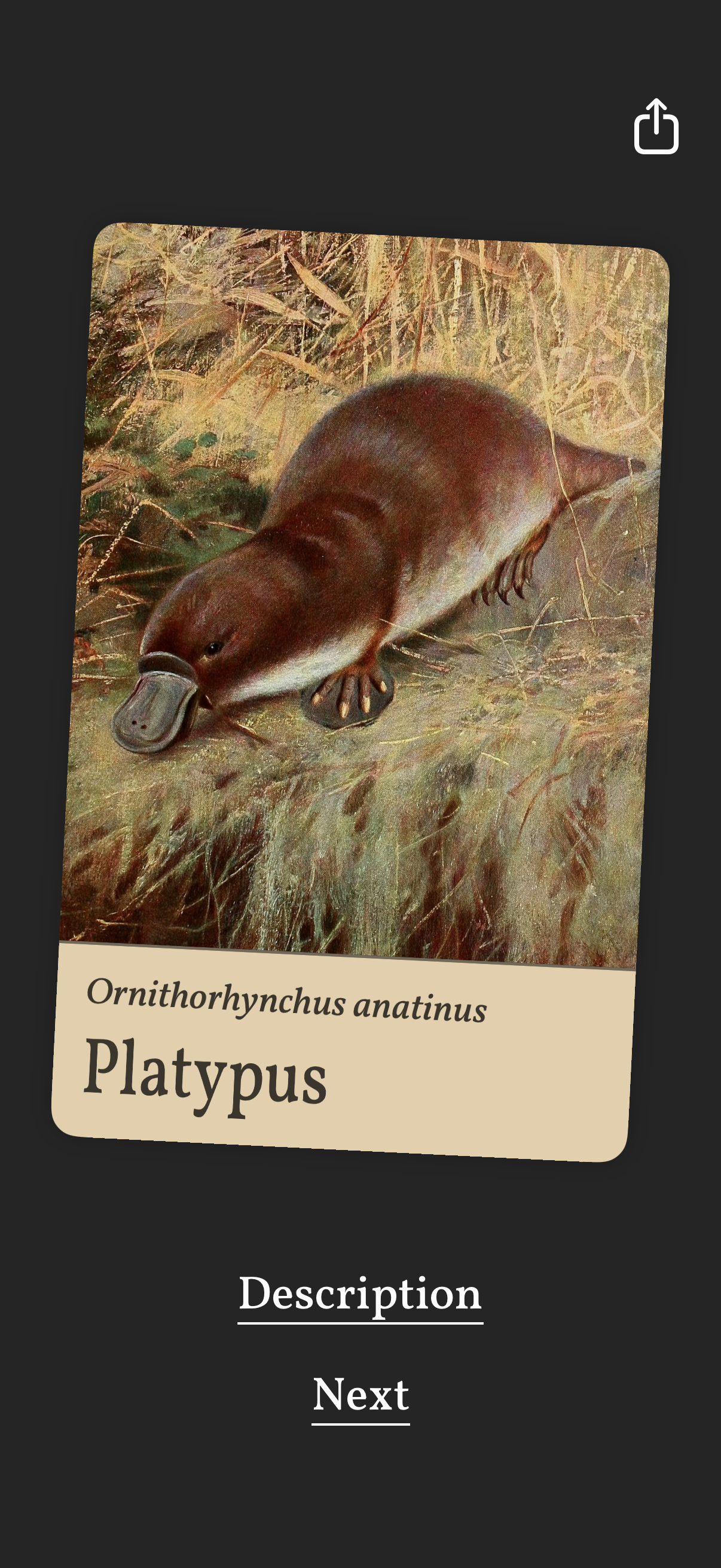 art-of-fauna app screenshot 21