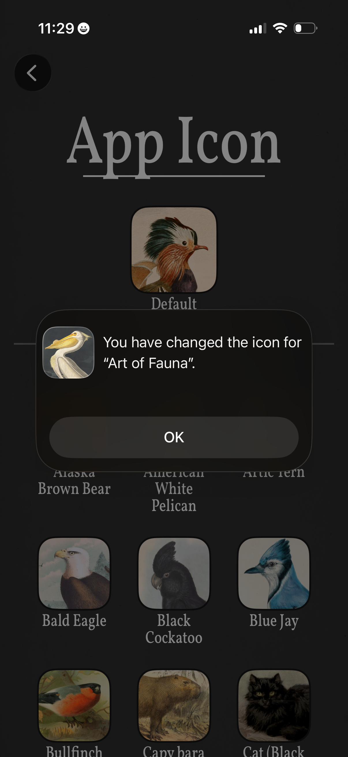 art-of-fauna app screenshot 13