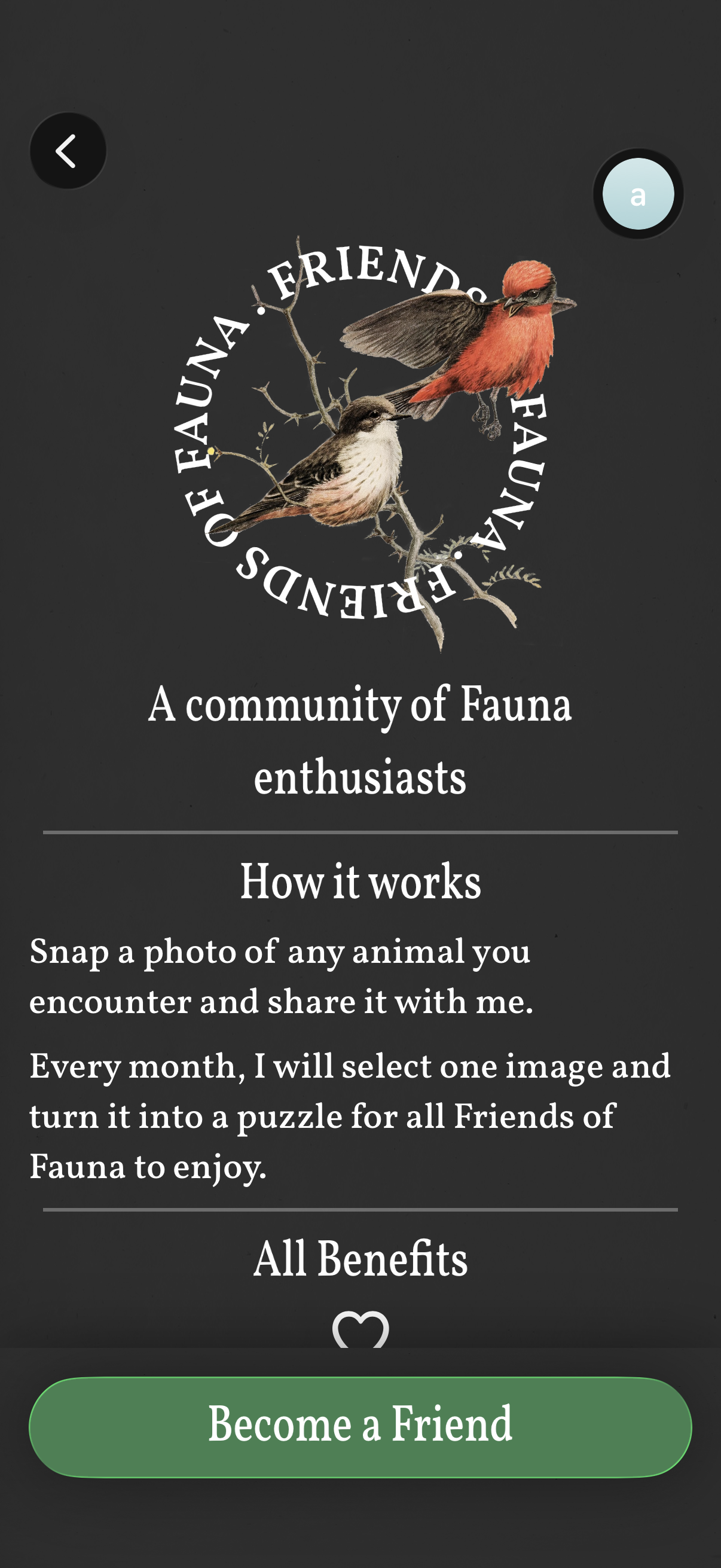 art-of-fauna app screenshot 9