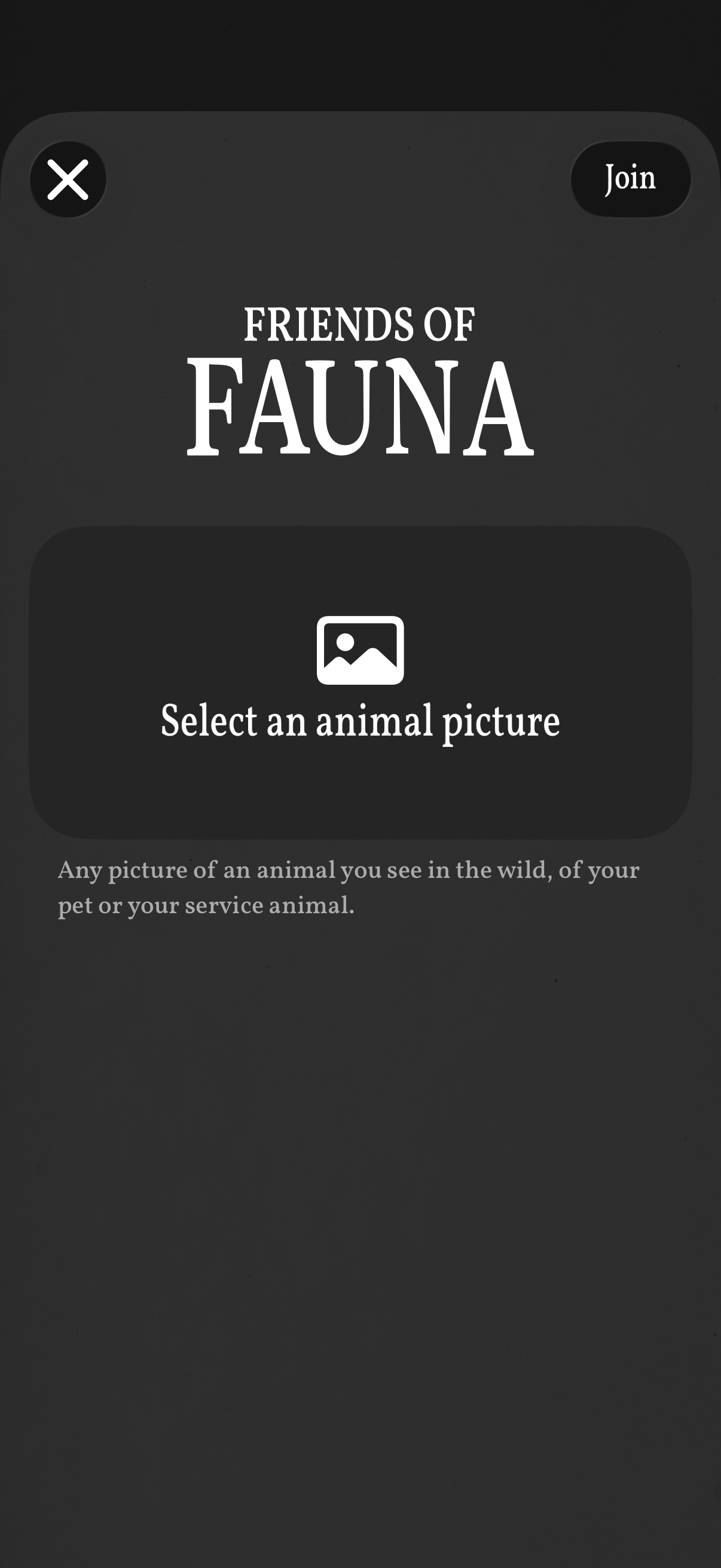 art-of-fauna app screenshot 8