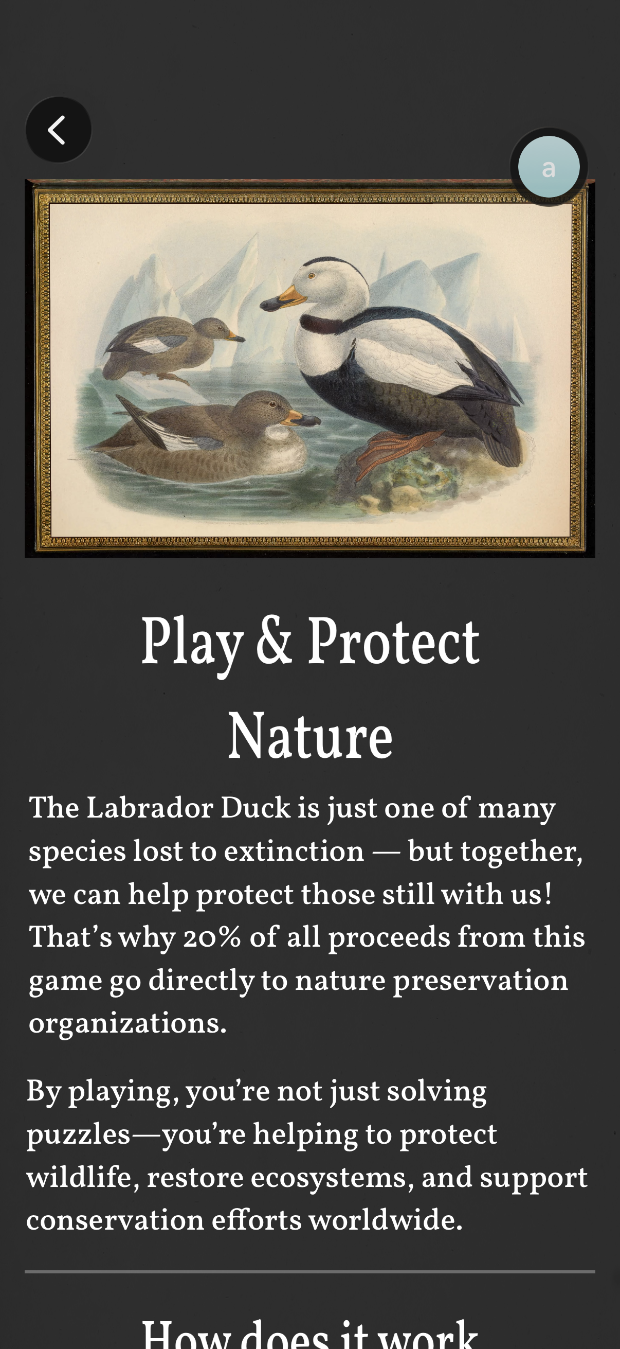 art-of-fauna app screenshot 3
