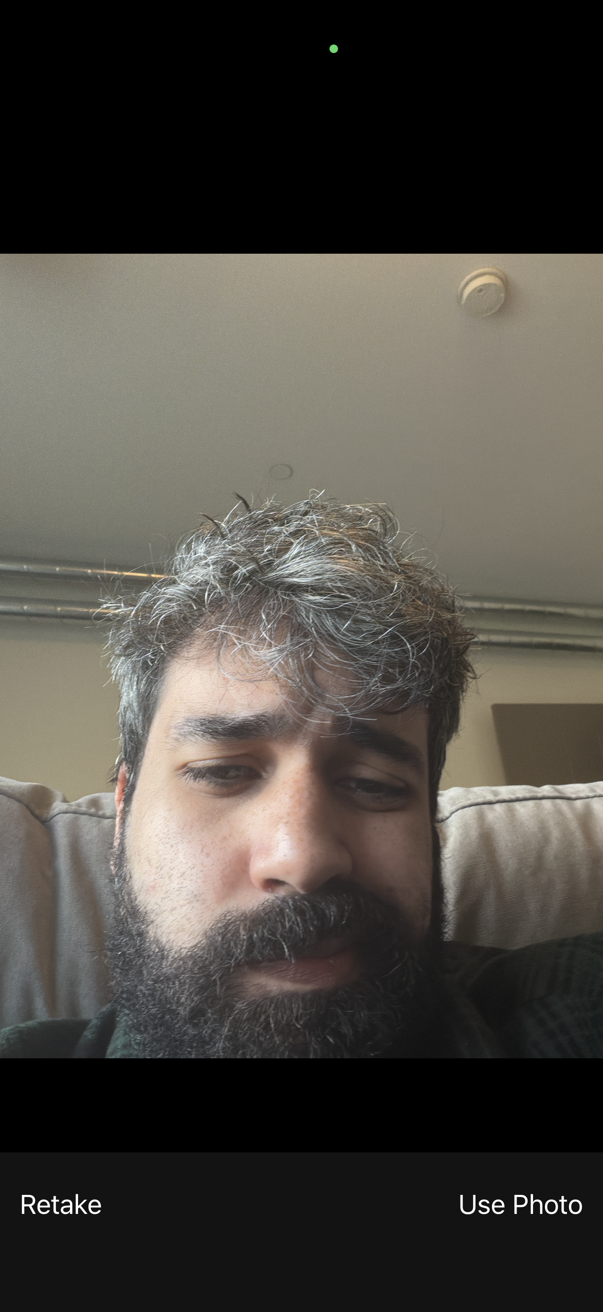 artsy app screenshot 10