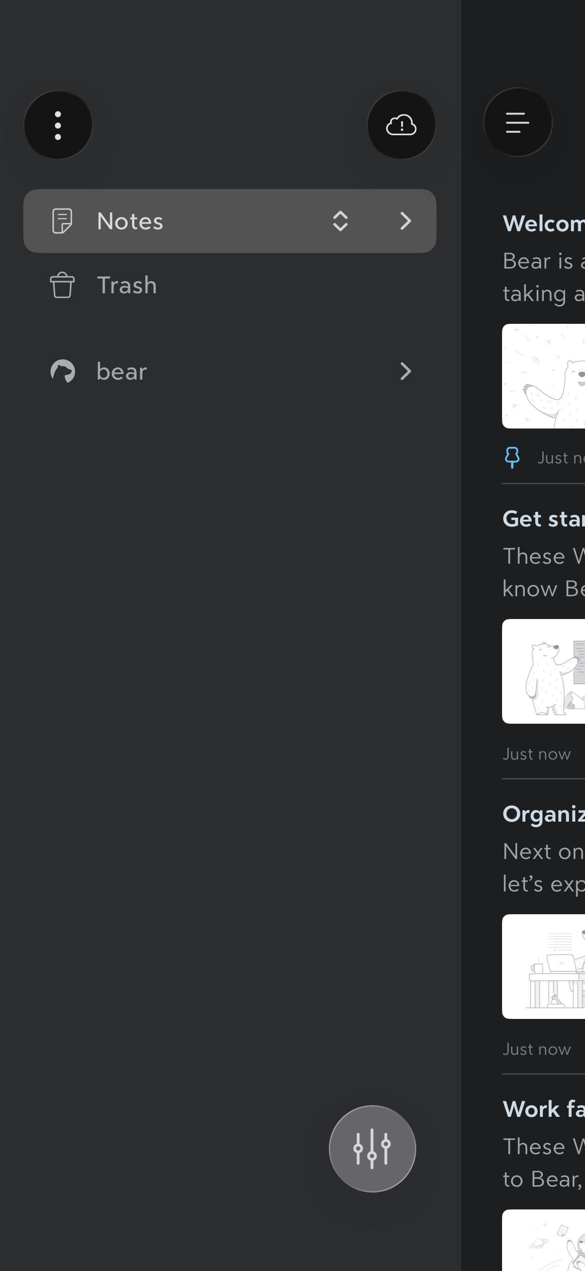 bear screen