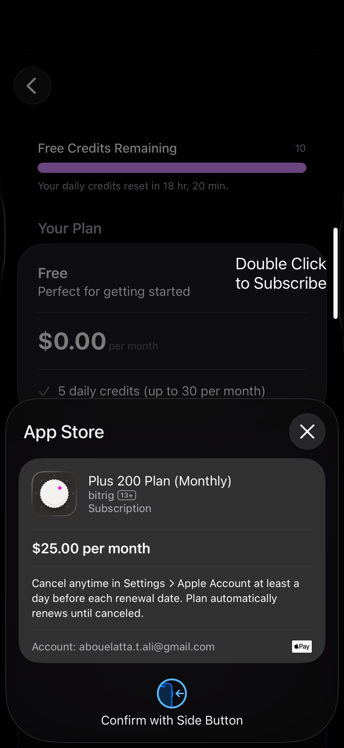 Step 3 of bitrig Upgrade subscription