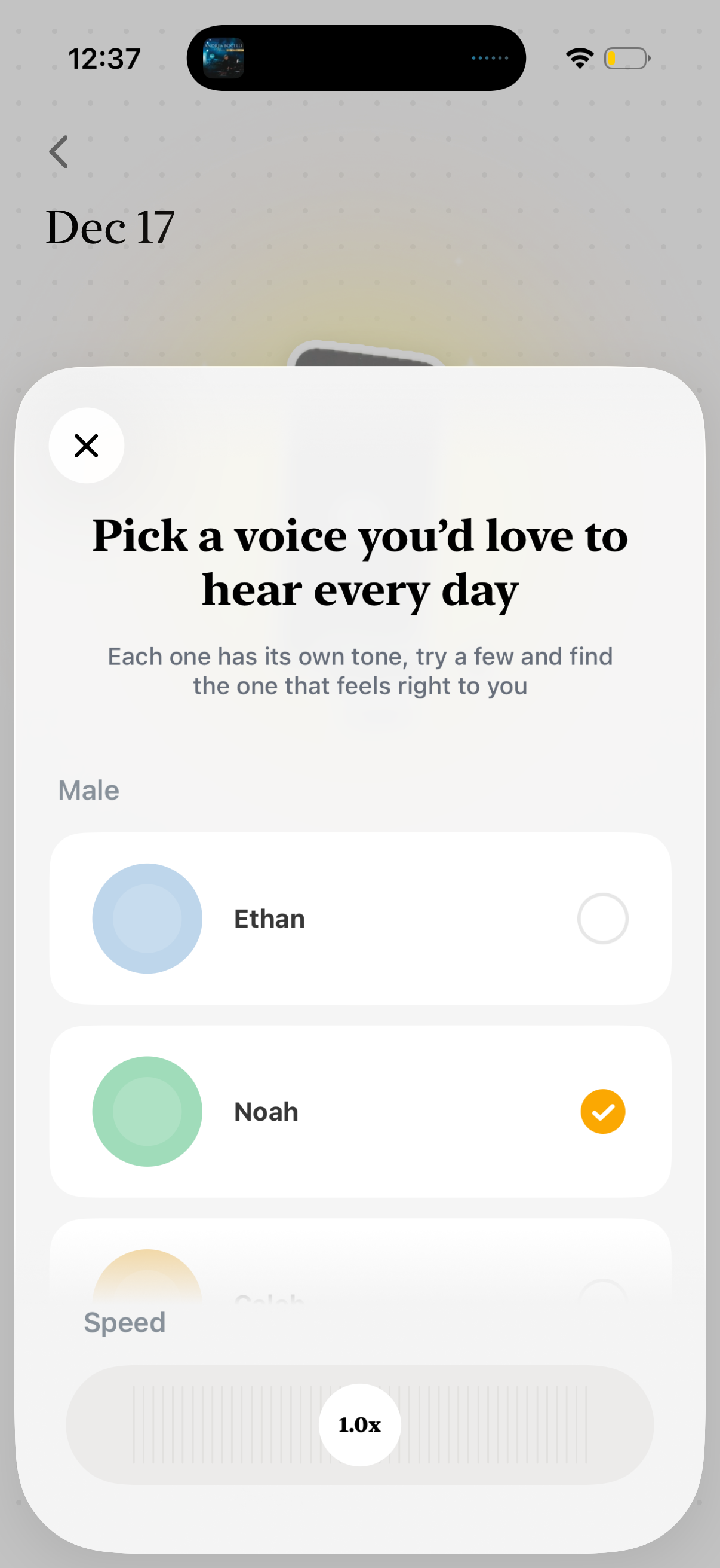 capwords app screenshot 17