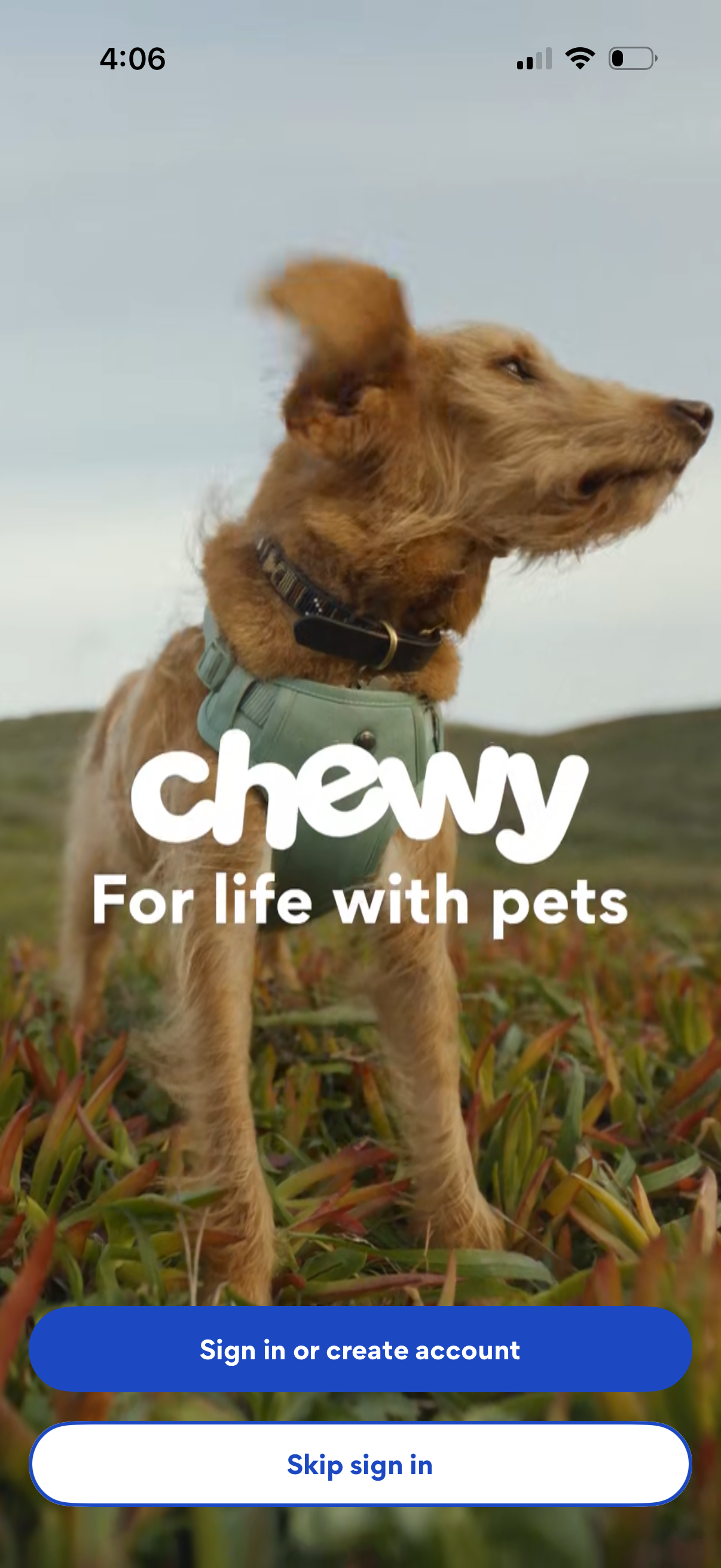 chewy app screenshot 7