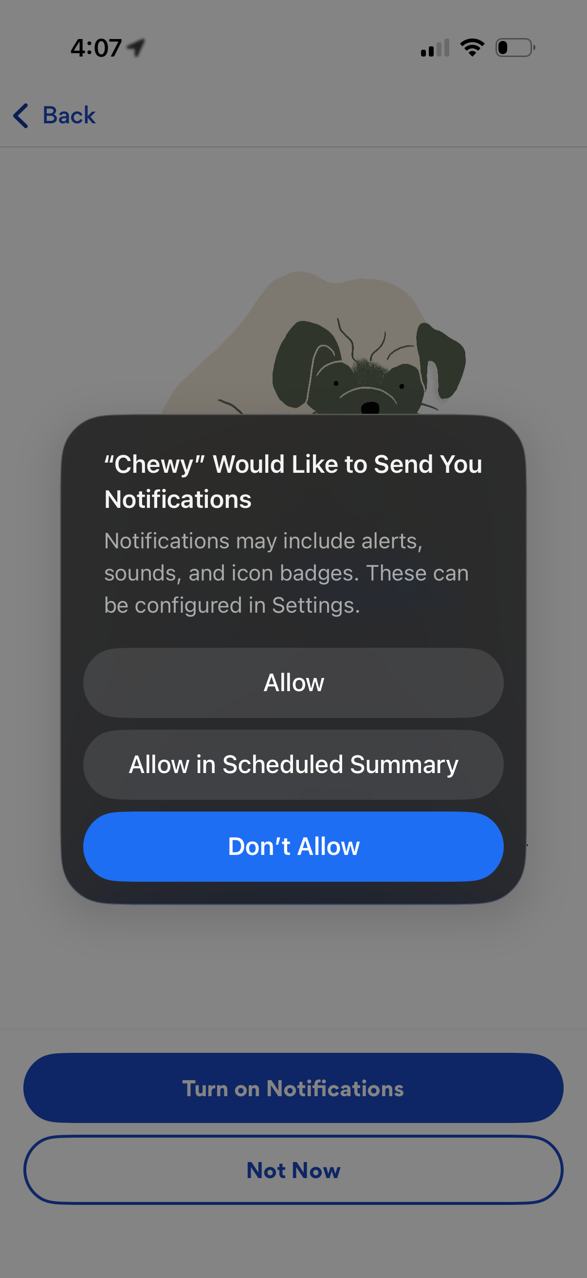 chewy app screenshot 2