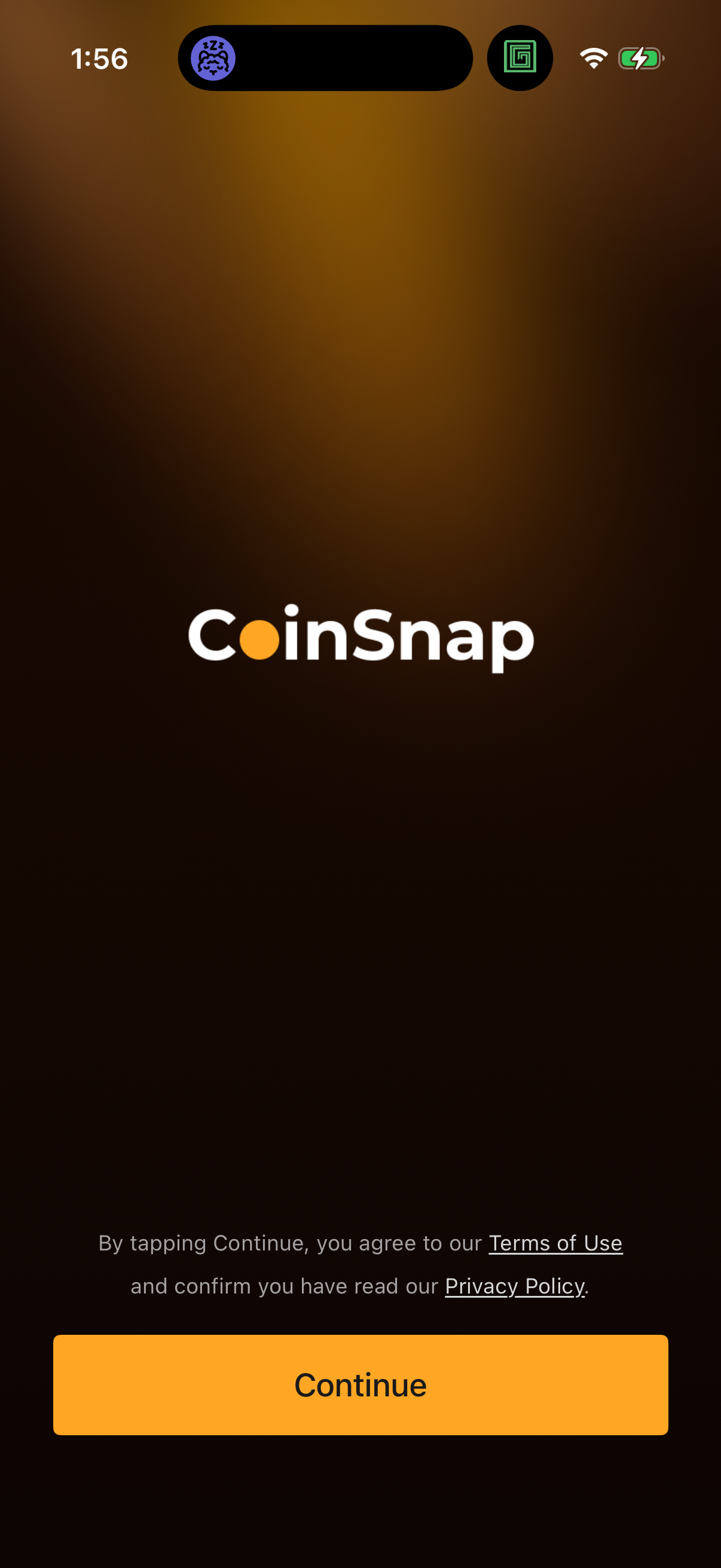 Step 1 of coinsnap Onboarding