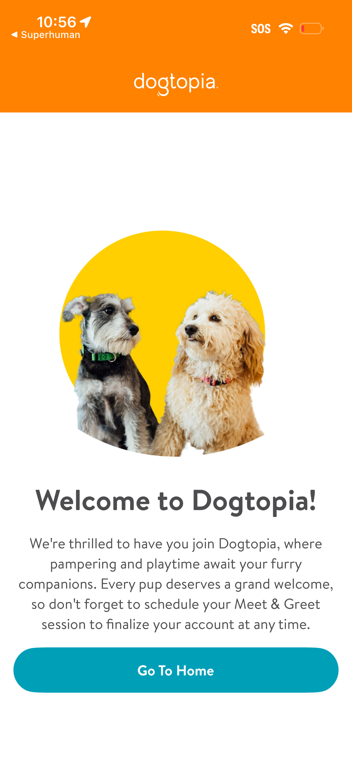 dogtopia app screenshot 14
