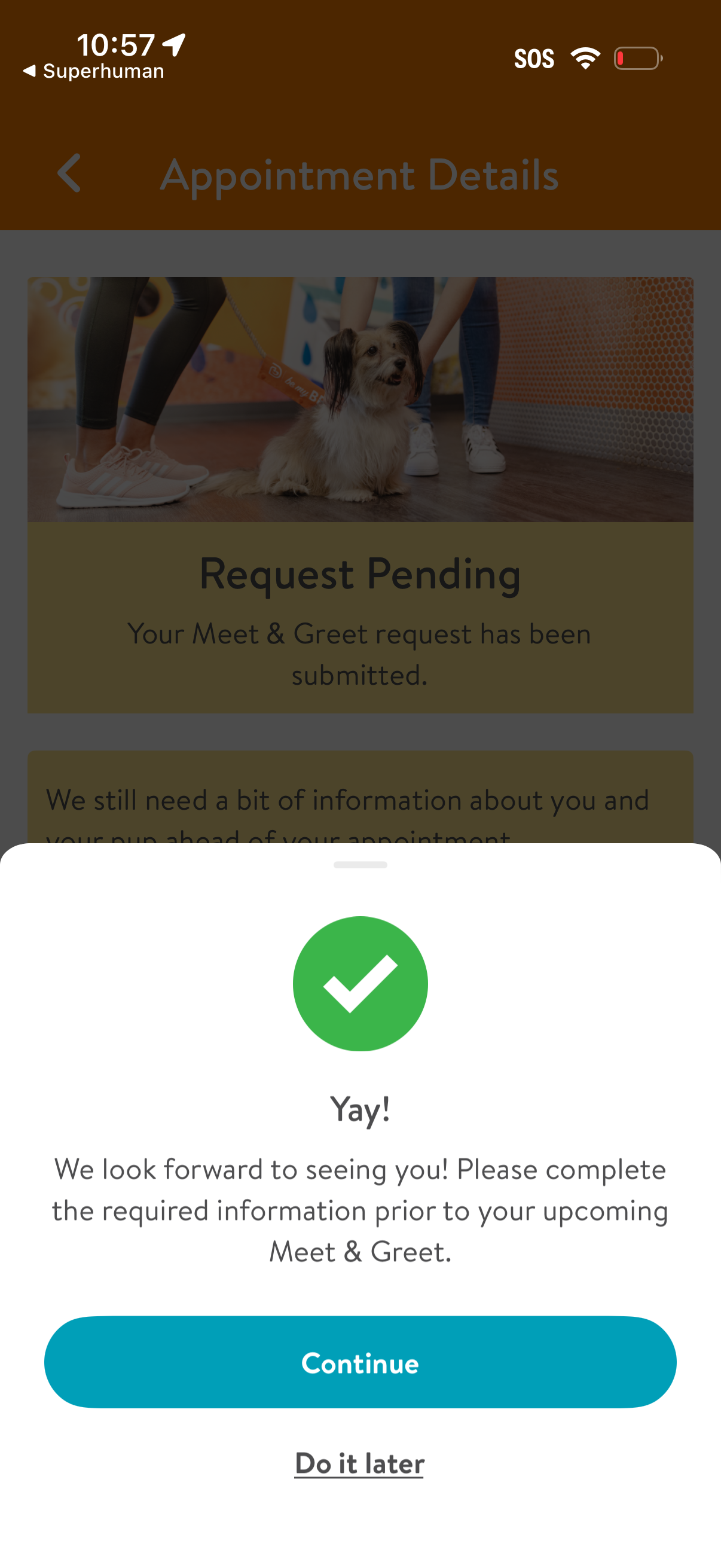 dogtopia app screenshot 6
