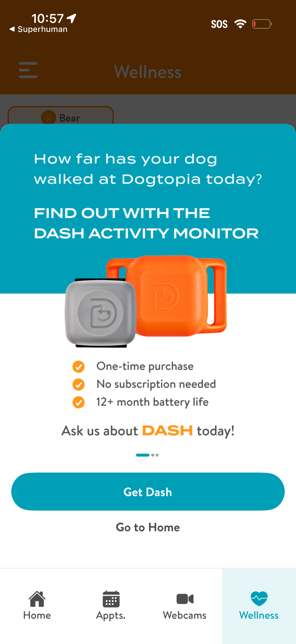 dogtopia app screenshot 1