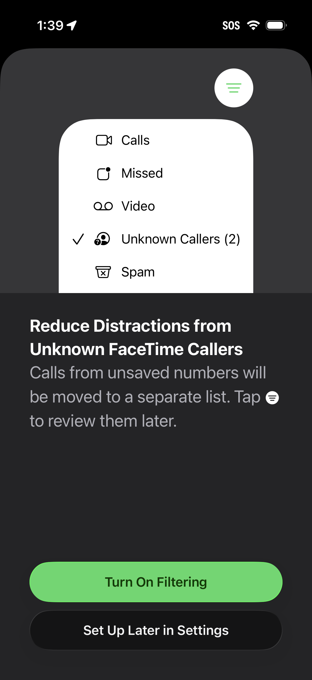 facetime app screenshot 2