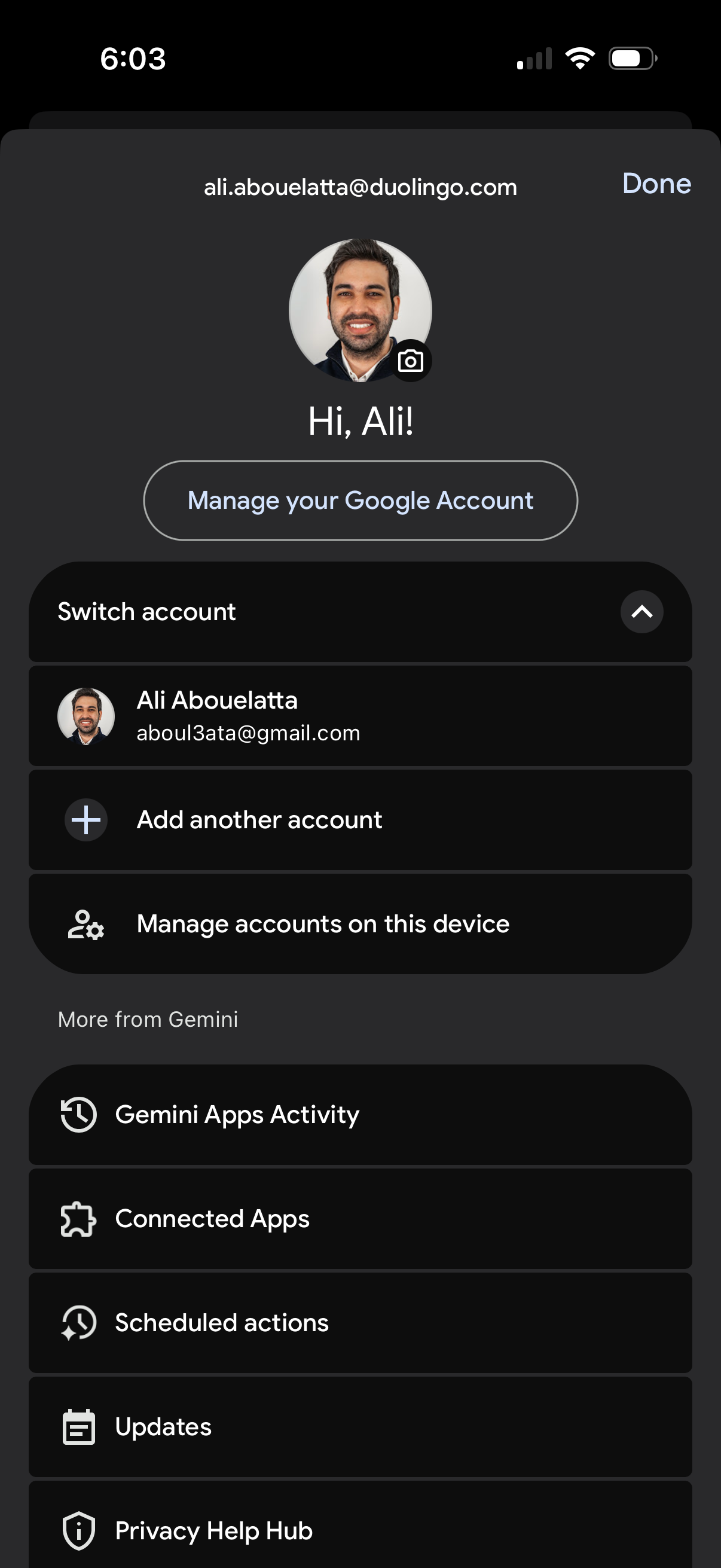 gemini app screenshot 4