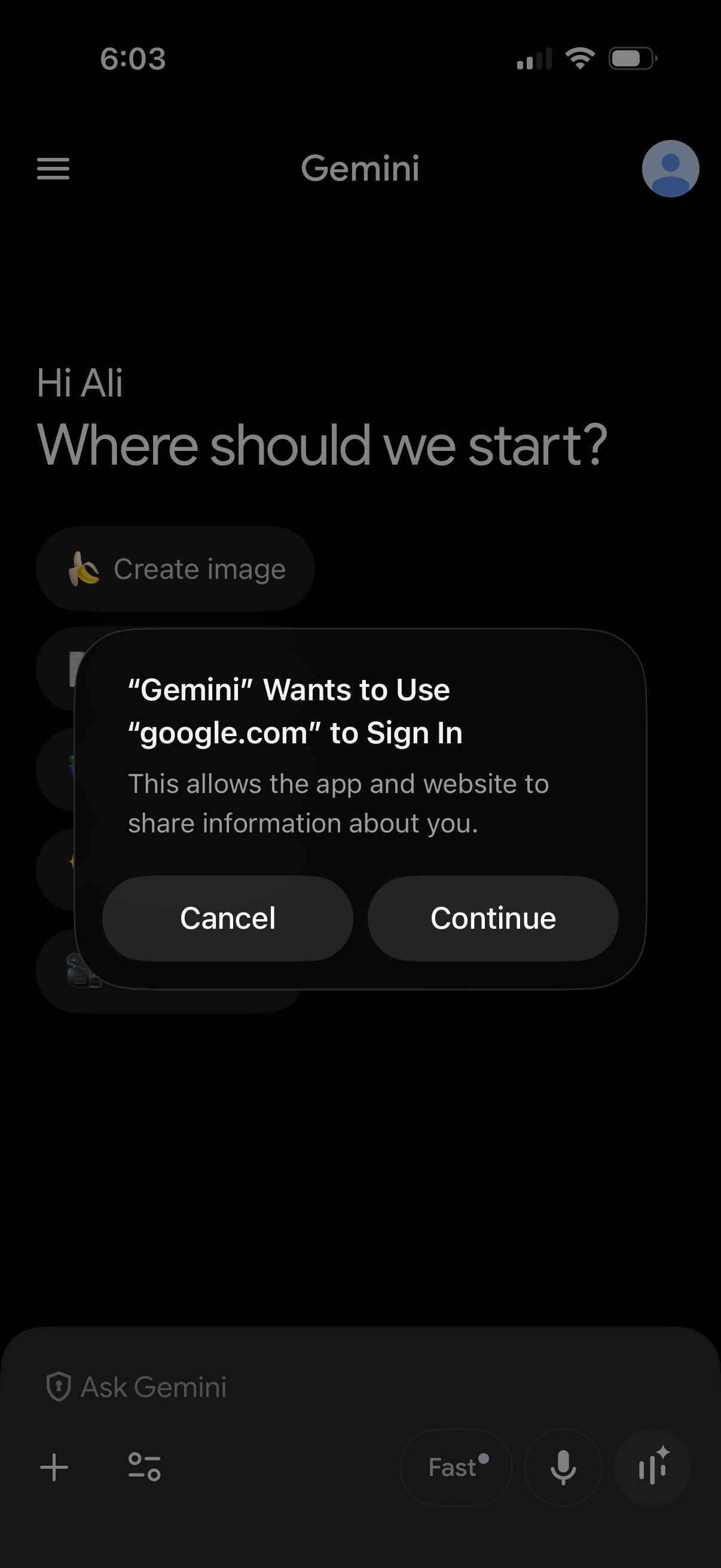 gemini app screenshot 3