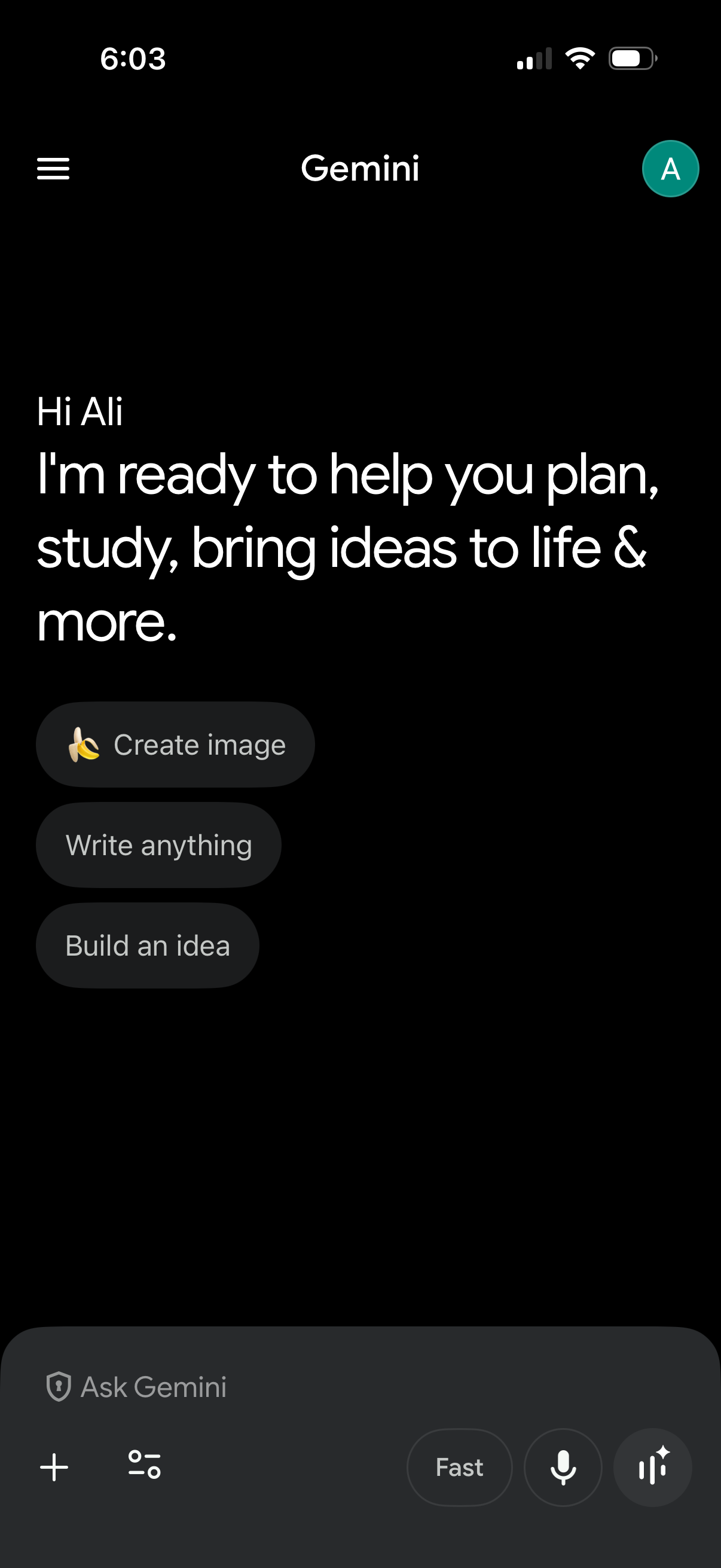 gemini app screenshot 1