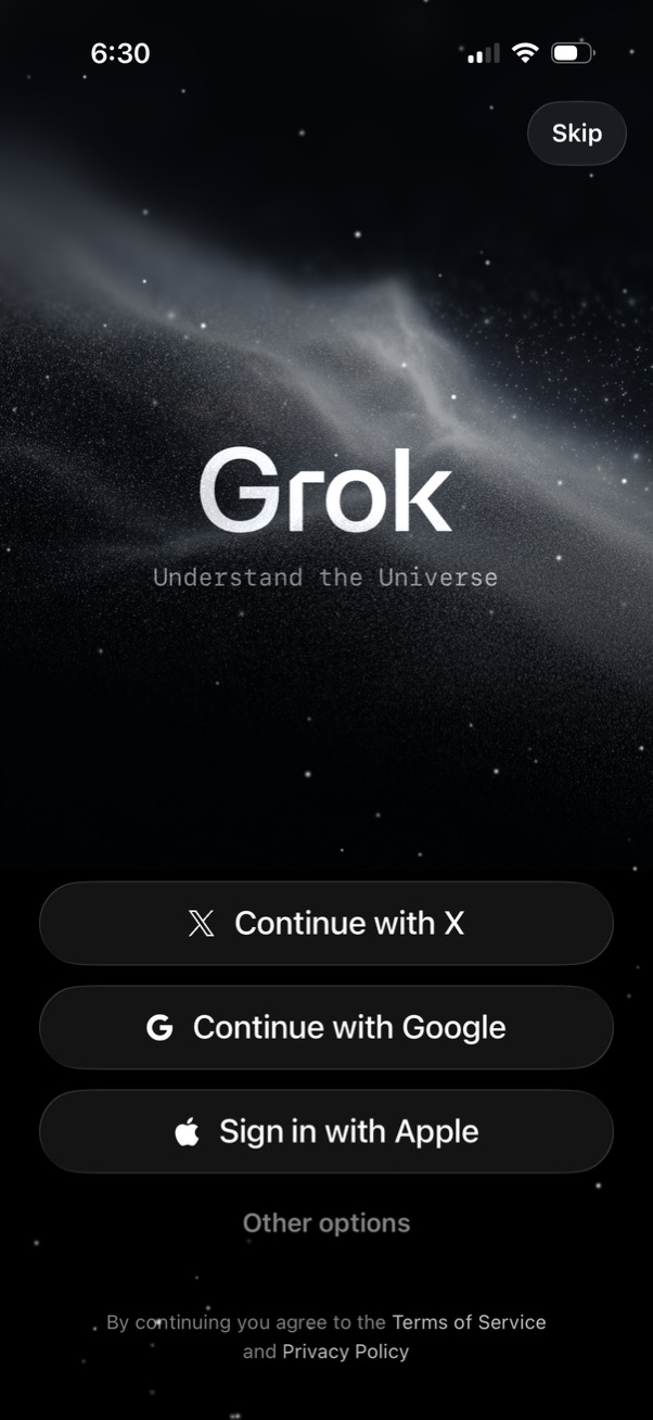 grok app screenshot 3