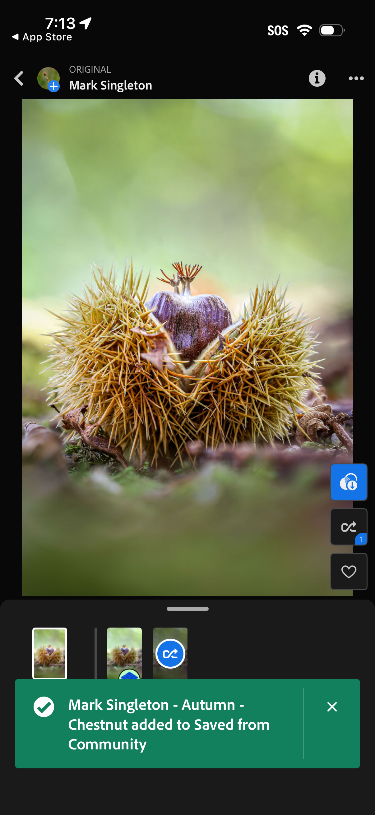 lightroom app screenshot 7