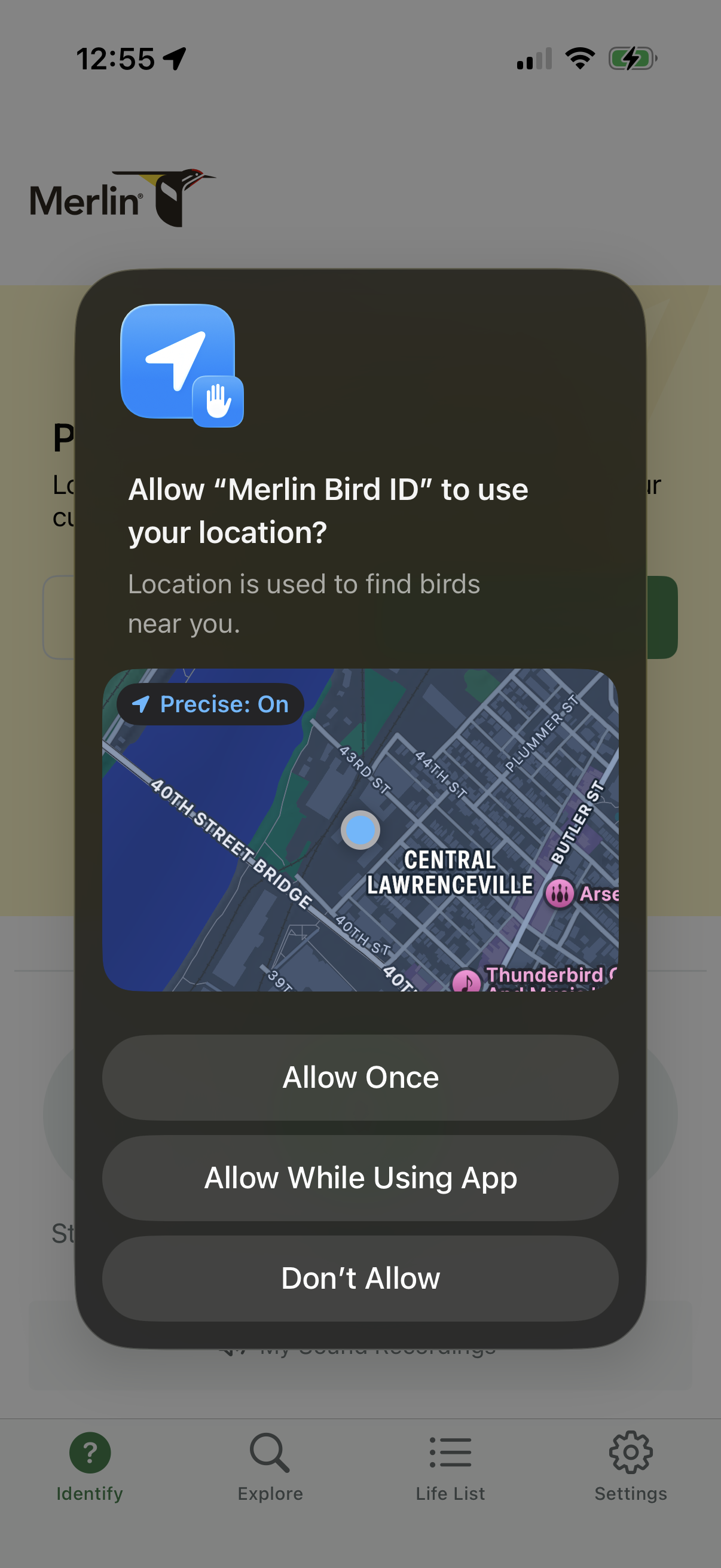 merlin-bird app screenshot 20
