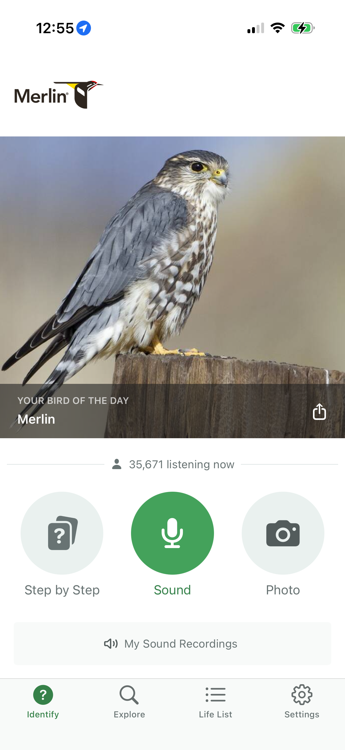 merlin-bird app screenshot 19