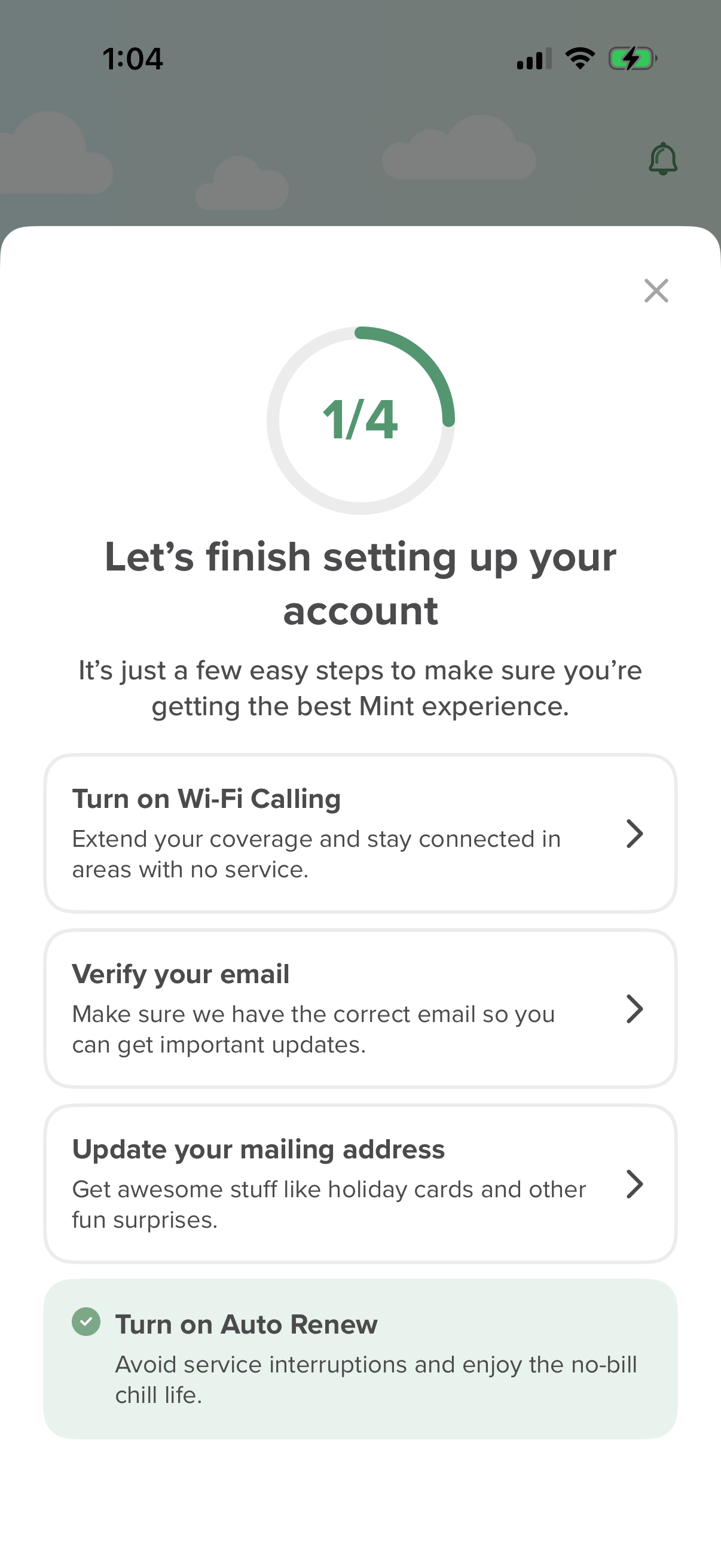 mint-mobile screen