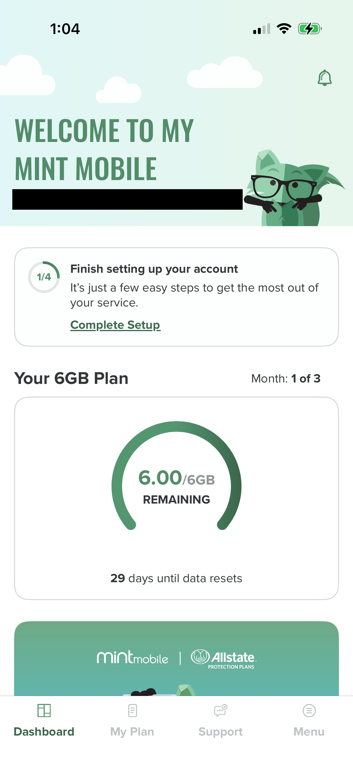 mint-mobile screen