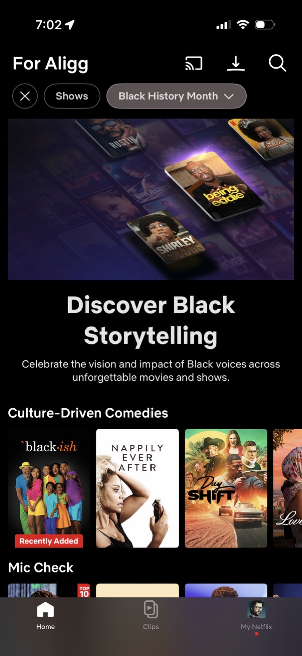 netflix app screenshot 45