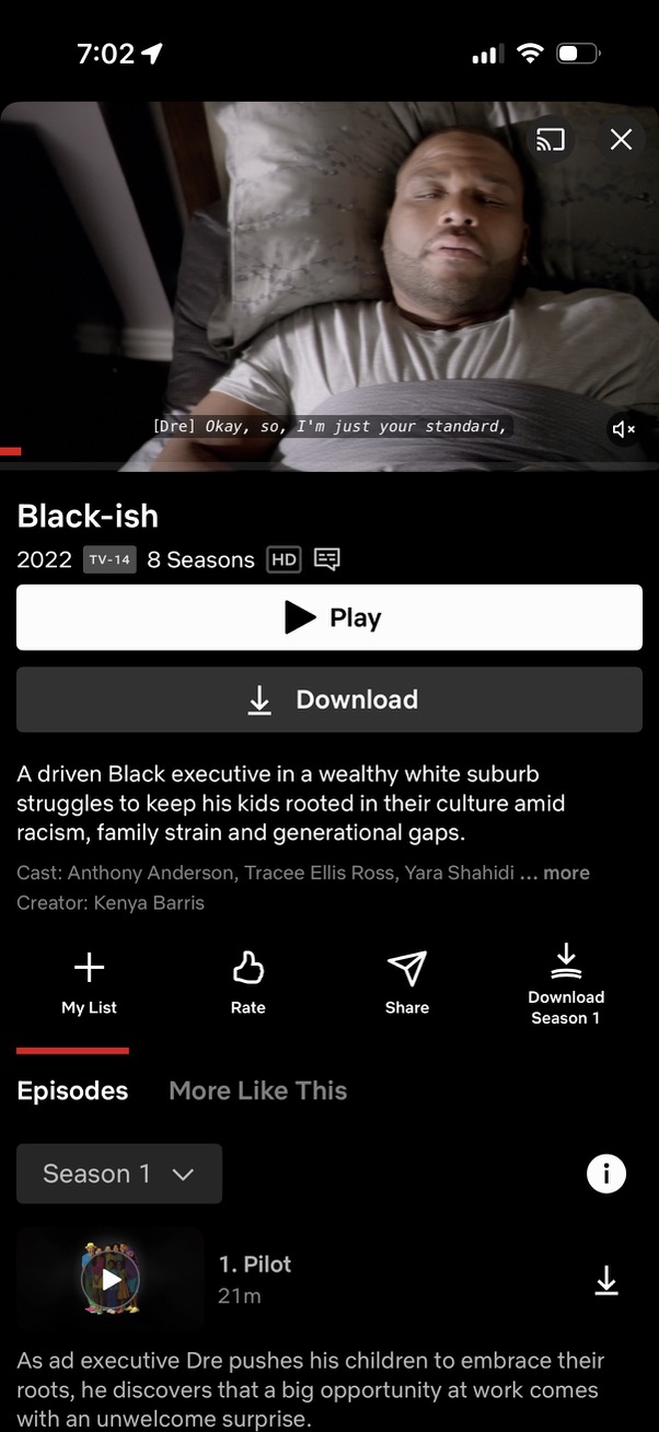netflix app screenshot 44