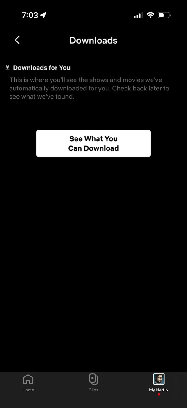 netflix app screenshot 31