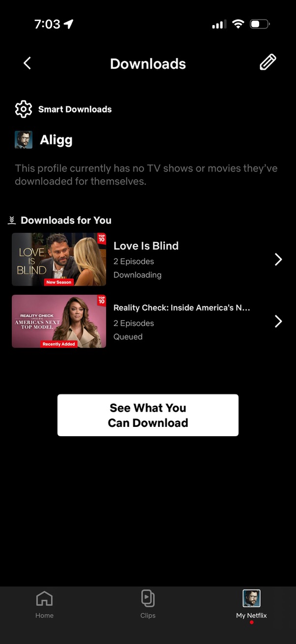 netflix app screenshot 30