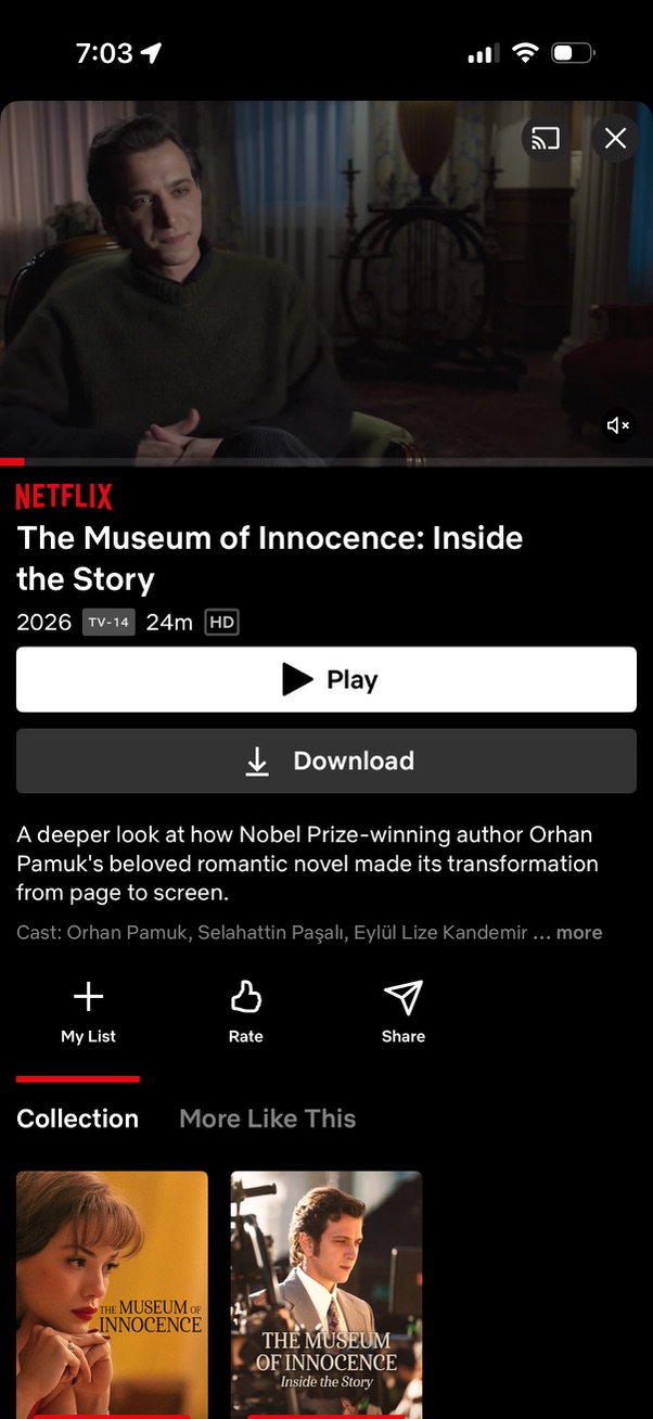 netflix app screenshot 26