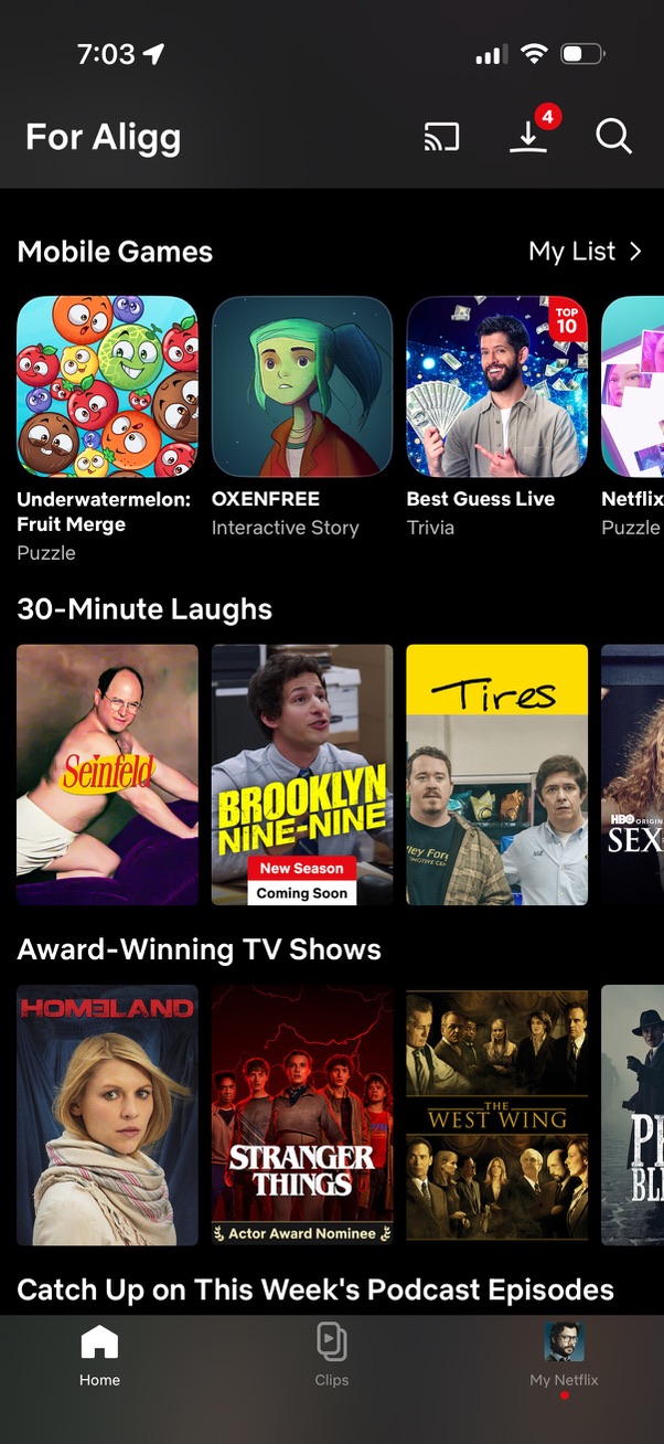 netflix app screenshot 23