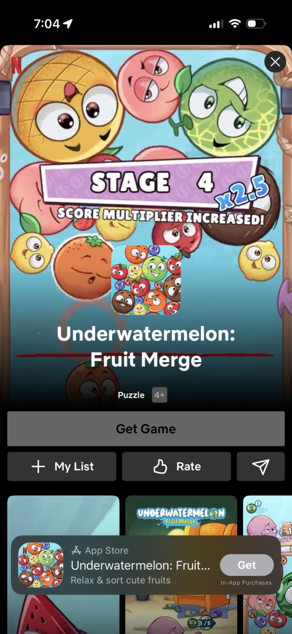 netflix app screenshot 17