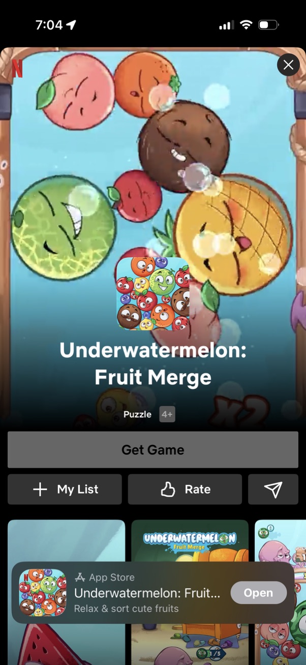 netflix app screenshot 15