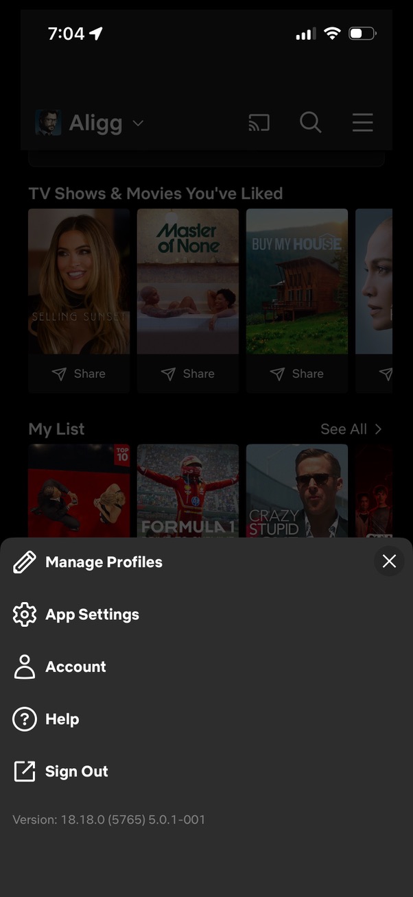 netflix app screenshot 14