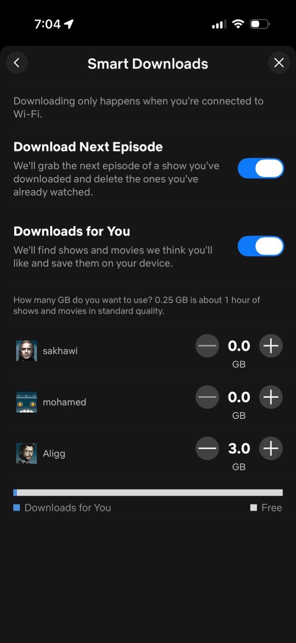 netflix app screenshot 10