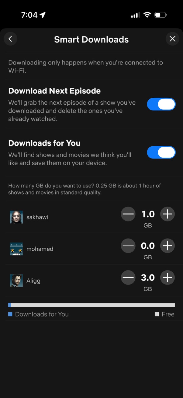 netflix app screenshot 9