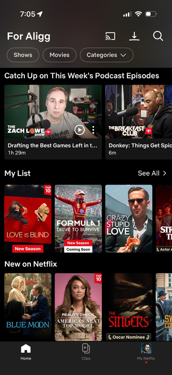 netflix app screenshot 7