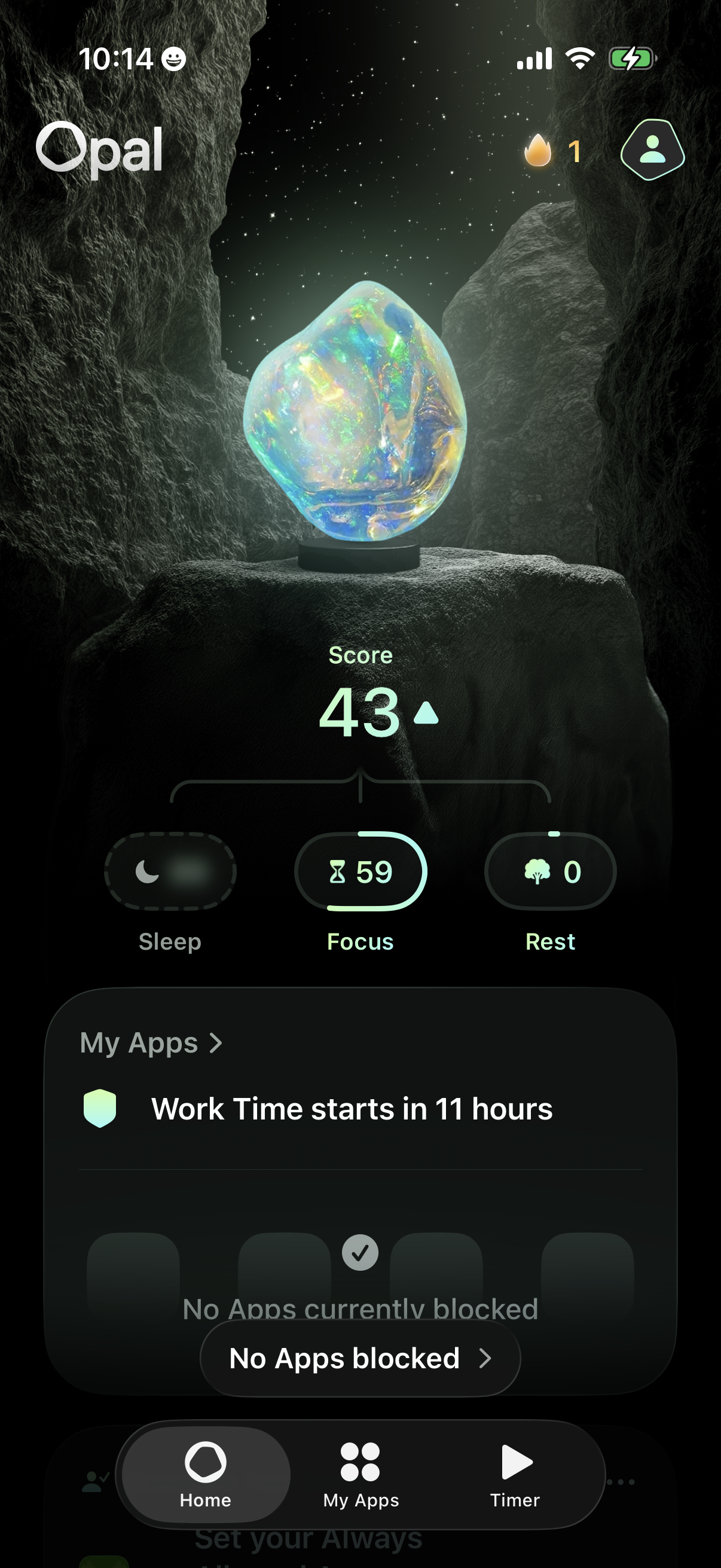 opal screen