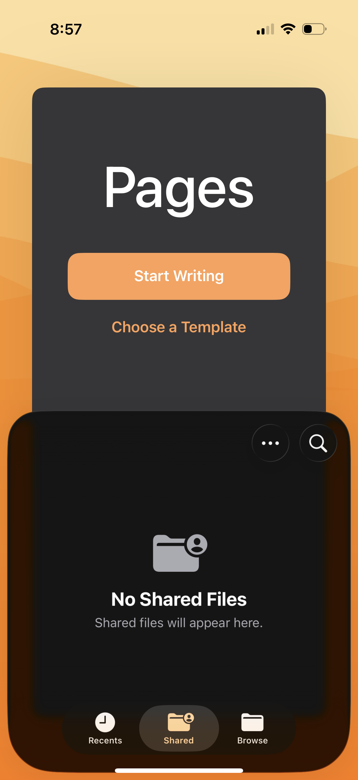 pages app screenshot 32