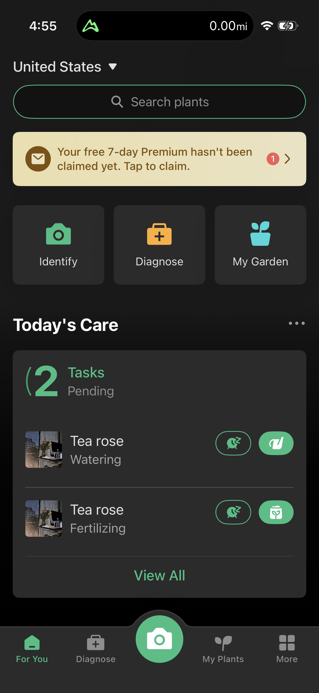 Step 1 of picturethis Main_tabs