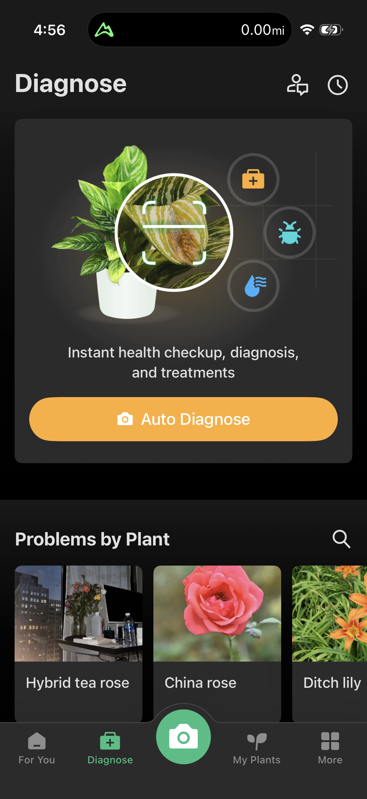 Step 2 of picturethis Main_tabs