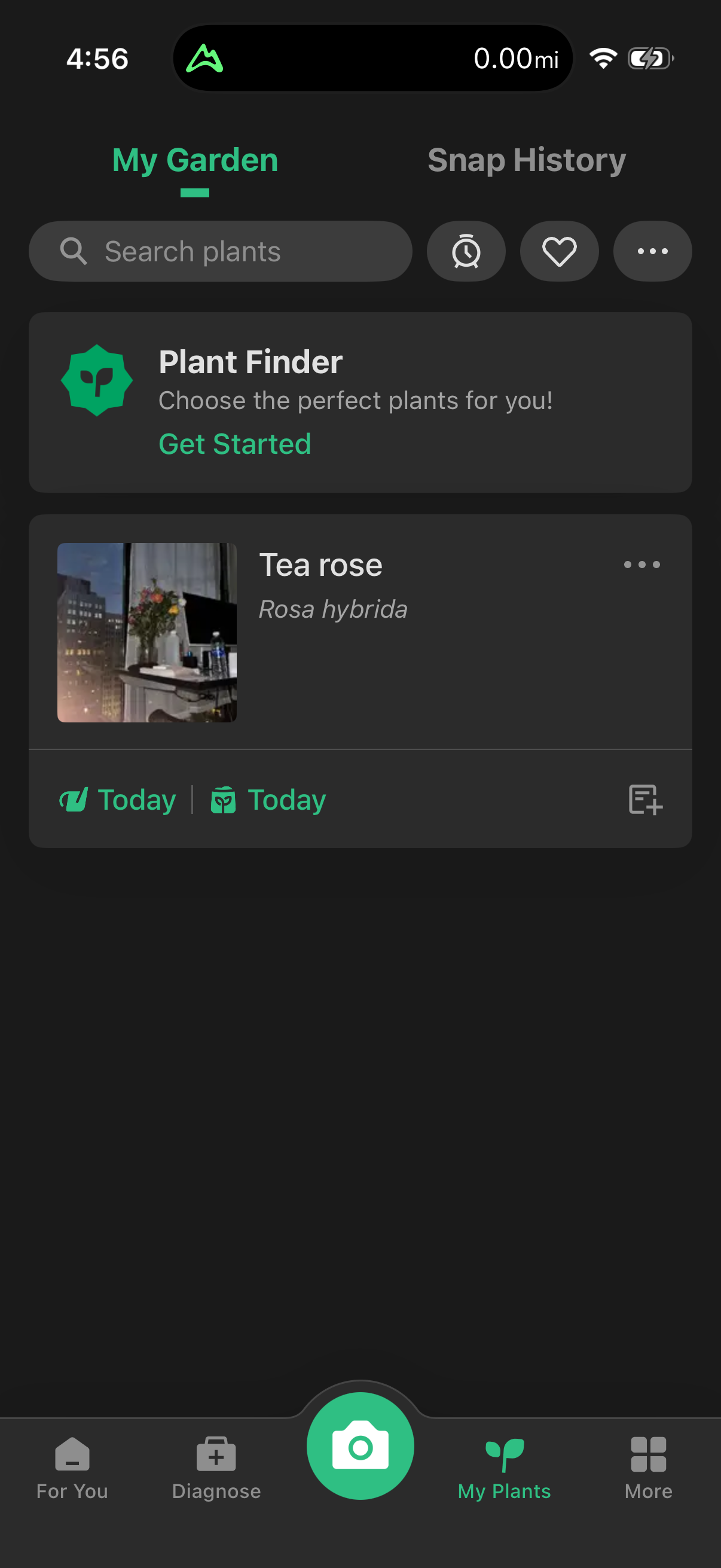Step 3 of picturethis Main_tabs