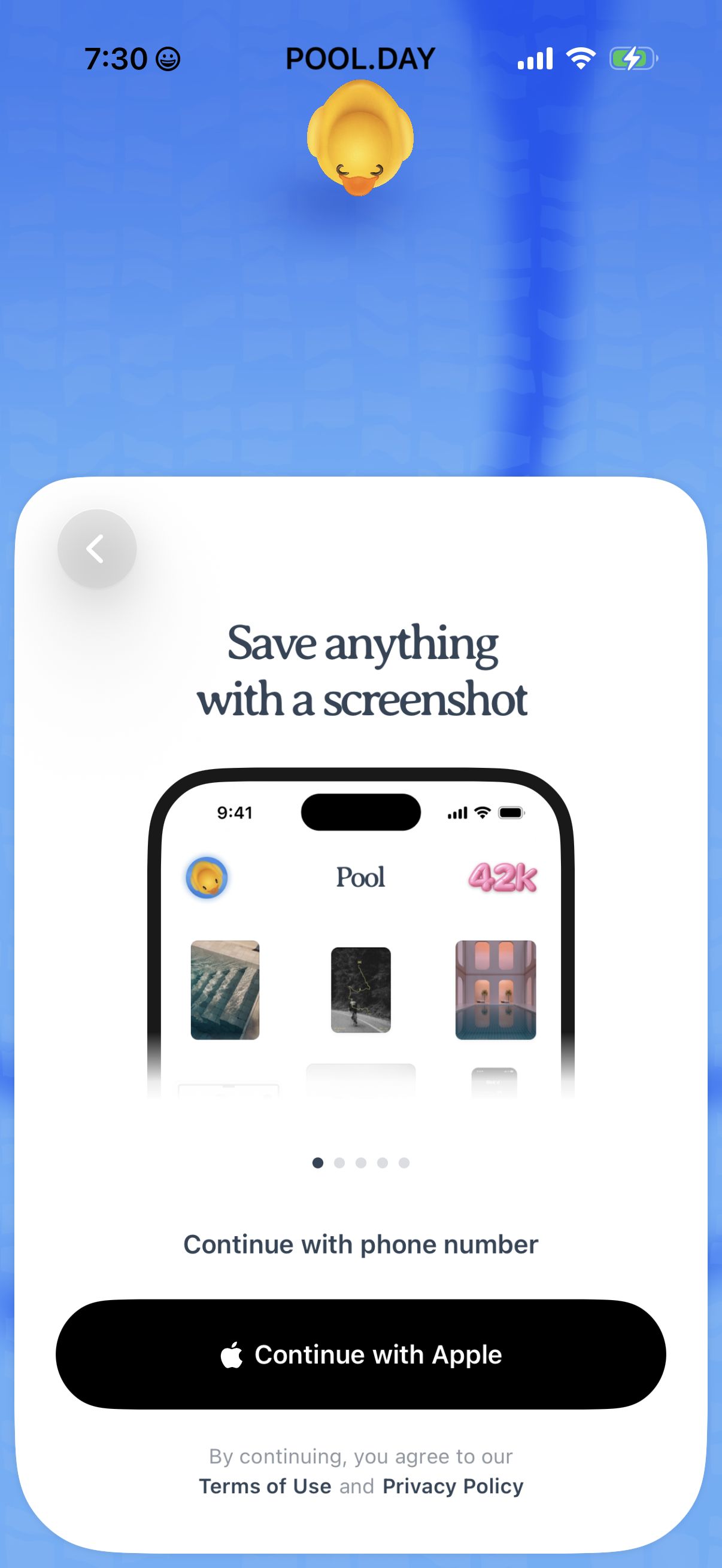 pool screen